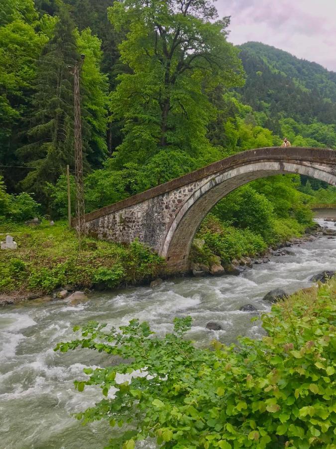 Dd Boutique Hotel Ardeşen 외부 사진